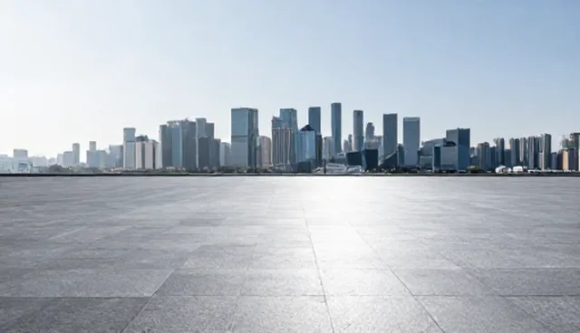 企业信用查询服务的数据同步适用情况与限制